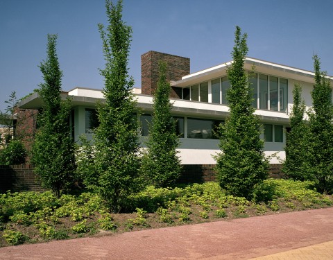 modern villa